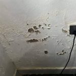 causes of dampness in buildings