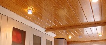 picture of pvc ceiling