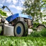 why is lawn care important